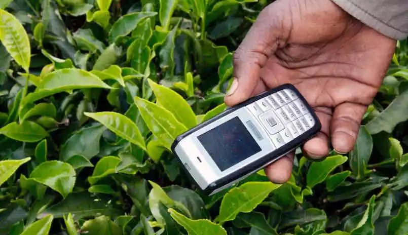 The Internet for farmers without Internet