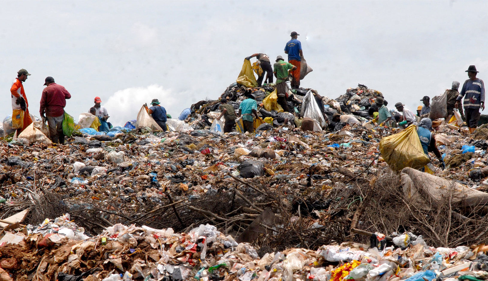 <Luciana Oliveira, Co-Founder, New Hope Ecotech: Wealth in Brazil’s waste
