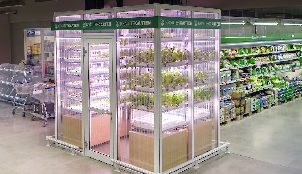 Erez Galonska, Guy Galonska and Osnat Michaeli, Founders, InFarm: Farming in the aisles