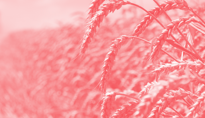Digital Agriculture
